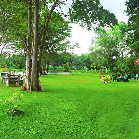 Canal Side Safari Resort ウダワラウェ エクステリア 写真