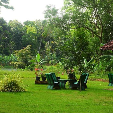 Canal Side Safari Resort ウダワラウェ エクステリア 写真
