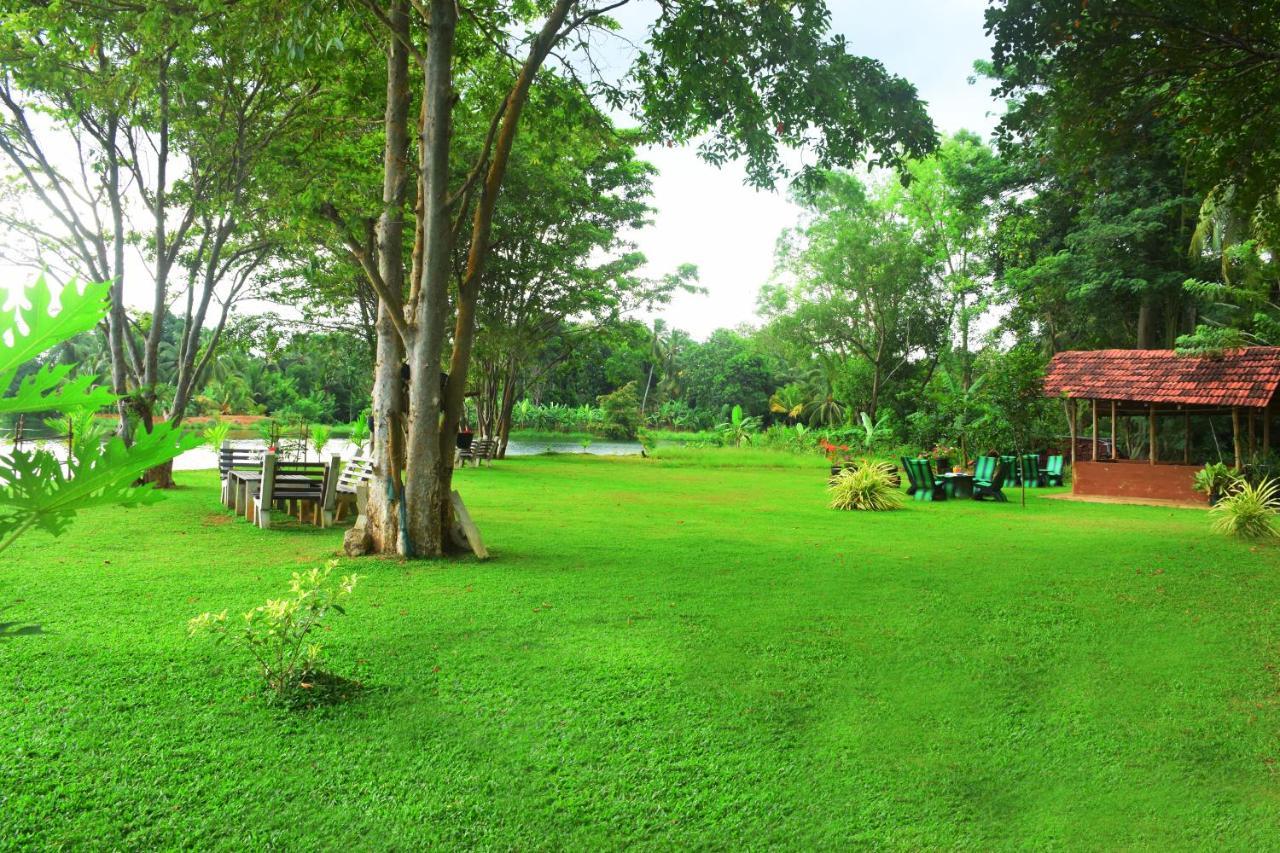 Canal Side Safari Resort ウダワラウェ エクステリア 写真