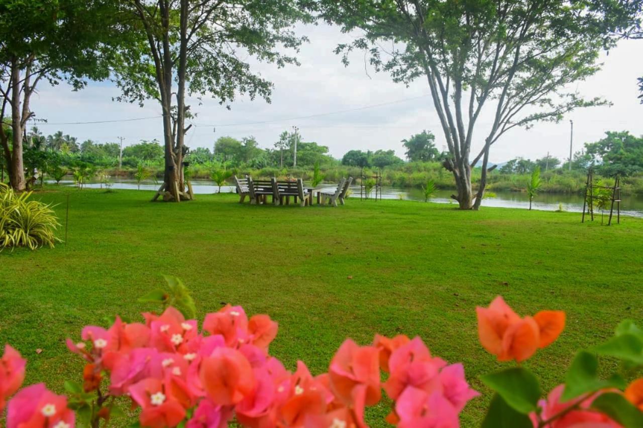 Canal Side Safari Resort ウダワラウェ エクステリア 写真