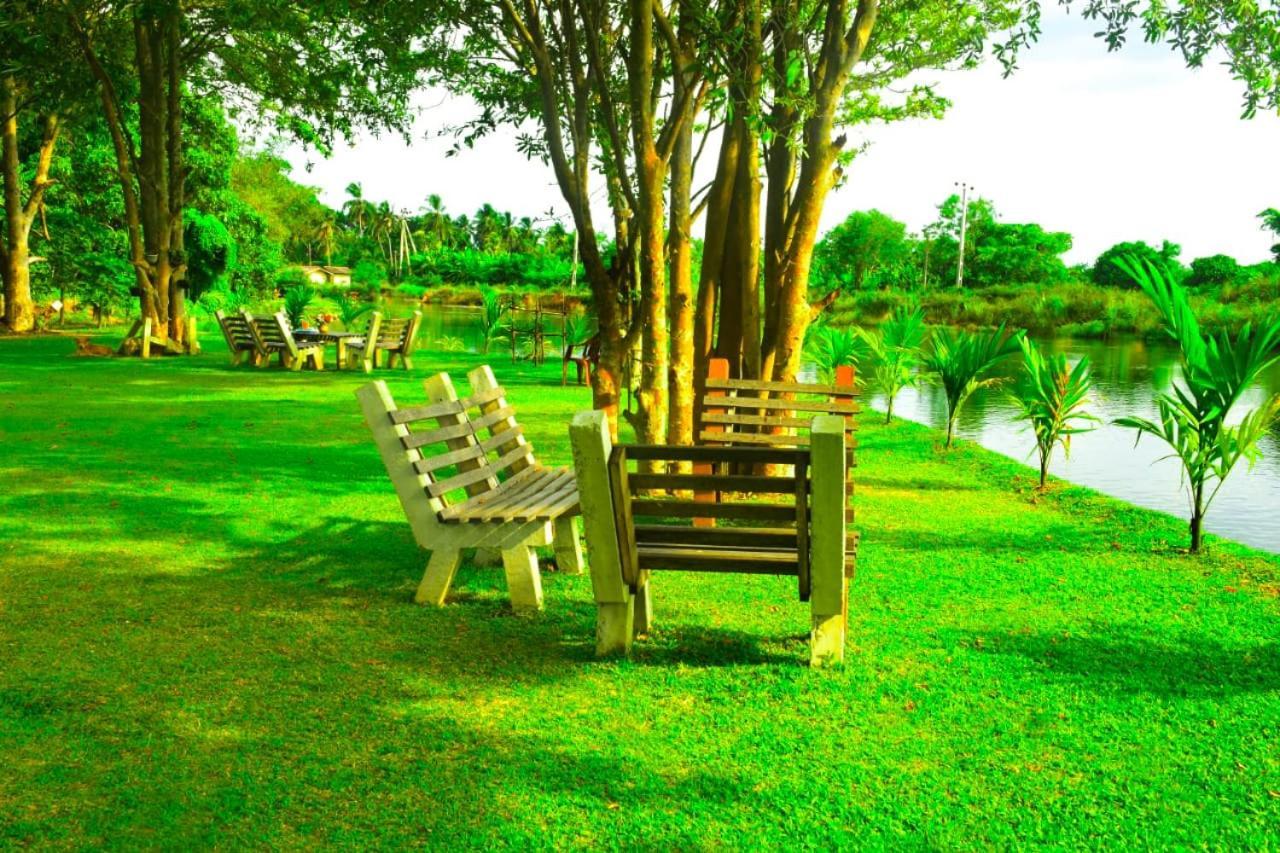Canal Side Safari Resort ウダワラウェ エクステリア 写真