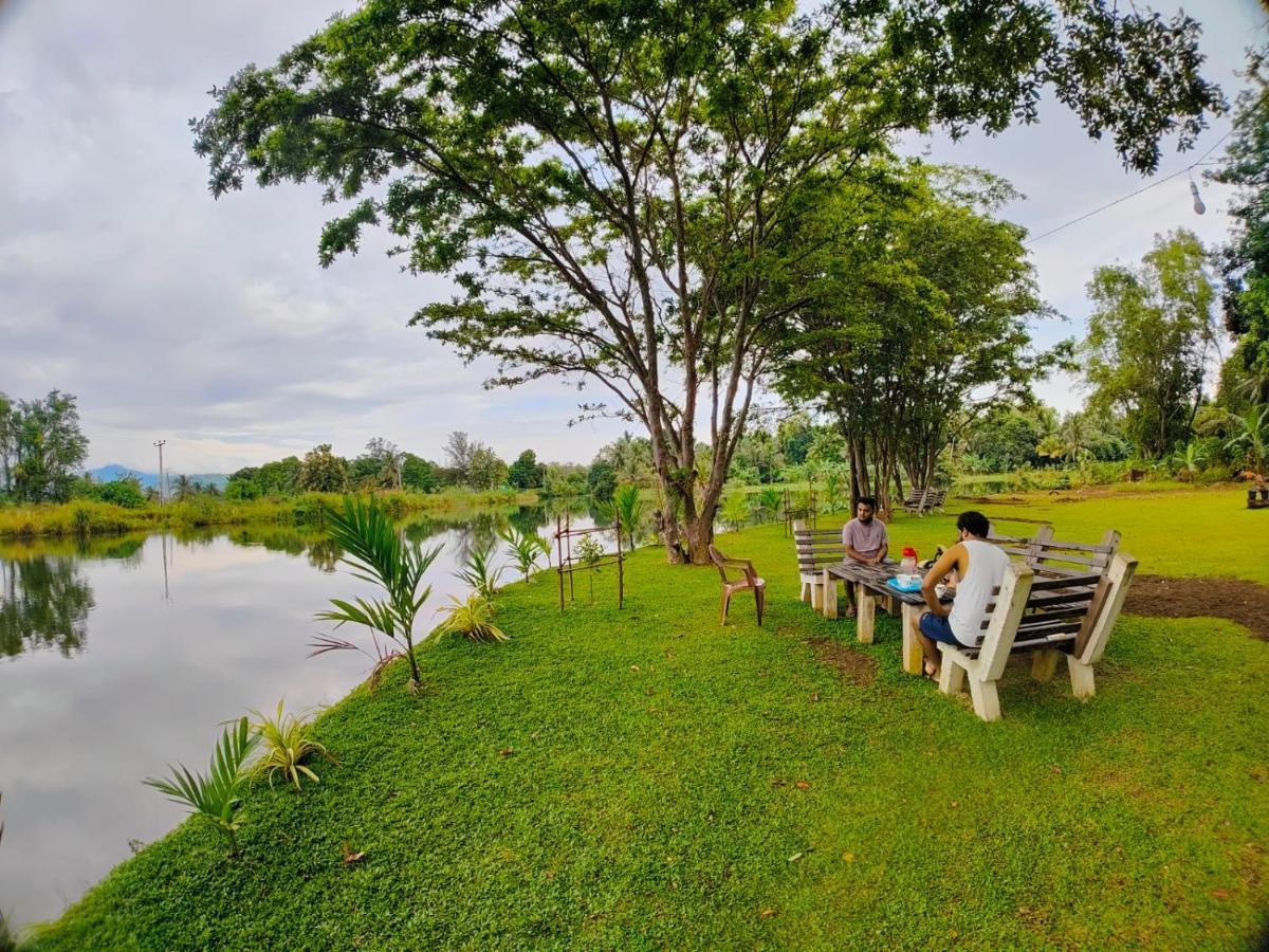 Canal Side Safari Resort ウダワラウェ エクステリア 写真
